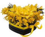 Cymbidium Orchids with Mimosa in a Box - Flowers Box London