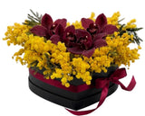Cymbidium Orchids with Mimosa in a Box - Flowers Box London