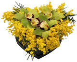Cymbidium Orchids with Mimosa in a Box - Flowers Box London