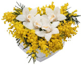 Cymbidium Orchids with Mimosa in a Box - Flowers Box London