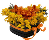 Cymbidium Orchids with Mimosa in a Box - Flowers Box London