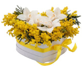 Cymbidium Orchids with Mimosa in a Box - Flowers Box London
