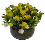 Daffodils and Freesias in Glass Bow with Eggs Decor