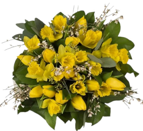Daffodils and Tulips with Genista Bouquet
