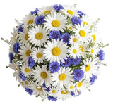Daisies and Cornflowers Bouquet - Flowers Box London