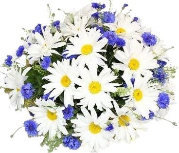Daisies and Cornflowers Bouquet - Flowers Box London
