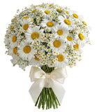 Daisies and Tanacetum Bouquet - Flowers Box London