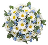 Daisies Bouquet with Gypsophila and Eucalyptus - Flowers Box London