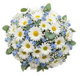 Daisies Bouquet with Gypsophila and Eucalyptus - Flowers Box London