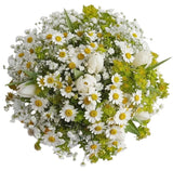 Daisies Tanacetum with White Tulips Bouquet - Flowers Box London
