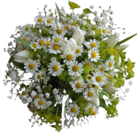 Tanacetum with Blue Oxypethalum Bouquet