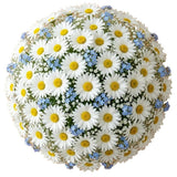 Daisies with Blue Forget Me Not and Gypsophila Bouquet - Flowers Box London