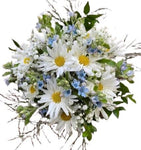 Daisies with Blue Oxypoethalum Bouquet - Flowers Box London