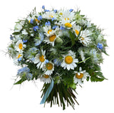 Daisies with Nigella and Forget Me Not Bouquet - Flowers Box London
