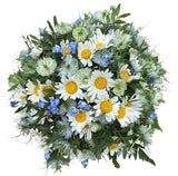 Daisies with Nigella and Forget Me Not Bouquet - Flowers Box London