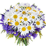 Daisy and Iris Bouquet - Flowers Box London