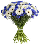 Daisy Gerbera with Blue Cornflowers Bouquet - Flowers Box London