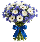 Daisy Gerbera with Blue Cornflowers Bouquet - Flowers Box London