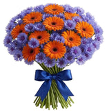 Daisy Gerbera with Blue Cornflowers Bouquet - Flowers Box London