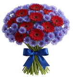 Daisy Gerbera with Blue Cornflowers Bouquet - Flowers Box London