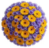 Daisy Gerbera with Blue Cornflowers Bouquet - Flowers Box London