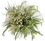 Daisy Tanacetum in Greenery Bouquet