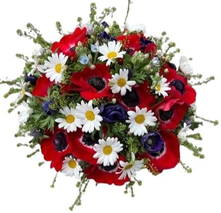 Daisy with Anemone Bouquet - Flowers Box London