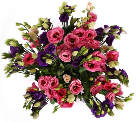 Dark Pink and Purple Lisianthus Bouquet