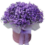 Dark Purple Gypsophila Box