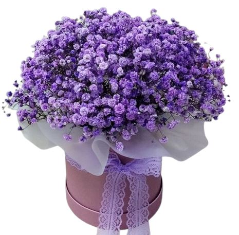 Dark Purple Gypsophila Box