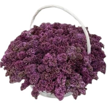 Dark Purple Lilac Basket