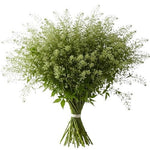 Decorative Green Bell – Unique Greenery - Flowers Box London