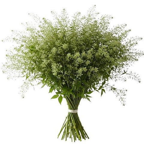 Decorative Green Bell – Unique Greenery - Flowers Box London