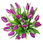 Deep Purple Tulips Bouquet - Flowers Box London