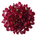 Deep Red Sweet Pea Bouquet