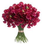 Deep Red Sweet Pea Bouquet