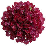 Deep Red Sweet Pea Bouquet
