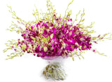 Delightful Dendrobium Orchids Bouquet