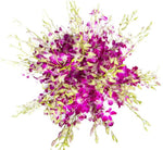 Delightful Dendrobium Orchids Bouquet - Flowers Box London