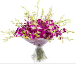 Delightful Dendrobium Orchids Bouquet - Flowers Box London