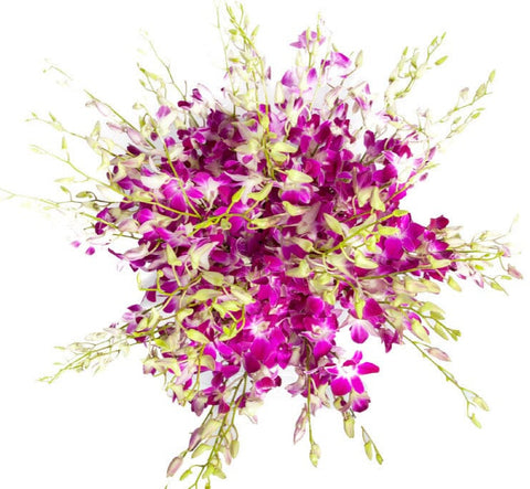 Delightful Dendrobium Orchids Bouquet