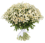 Delightful Duo Tanacetum Bouquet