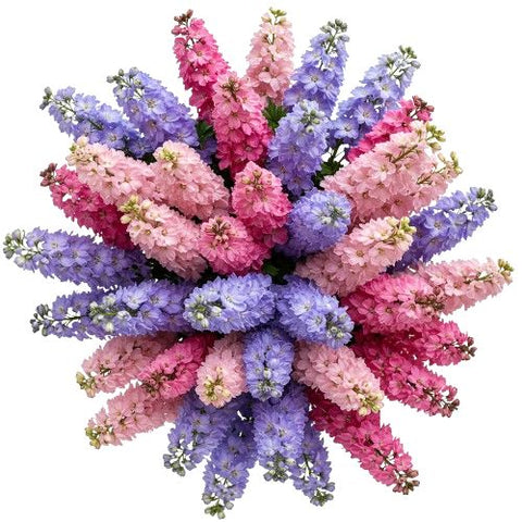 Delphinium Trio Colour Bouquet