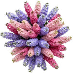 Delphinium Trio Colour Bouquet - Flowers Box London