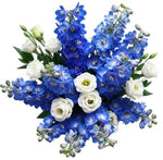 Delphinium with White Lisianthus Bouquet
