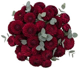 Dhalia Bouquet with Eucalyptus - Flowers Box London