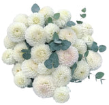 Dhalia Bouquet with Eucalyptus - Flowers Box London