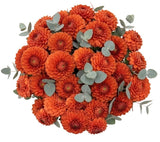 Dhalia Bouquet with Eucalyptus - Flowers Box London