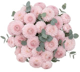 Dhalia Bouquet with Eucalyptus - Flowers Box London