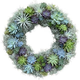 Door Wreath of Succulent in Spanish Moss - Flowers Box London